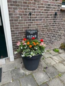 foto-bridge-30-04-2022-9