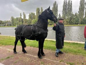 Afbeelding-van-WhatsApp-op-2025-09-13-om-21.41.57 30982ec8