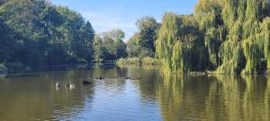 Afbeelding-van-WhatsApp-op-2025-09-20-om-16.18.28 0d977701